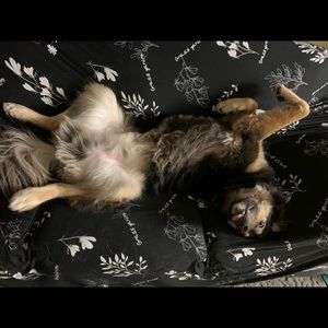 Meet your Posher, Kaitlynn